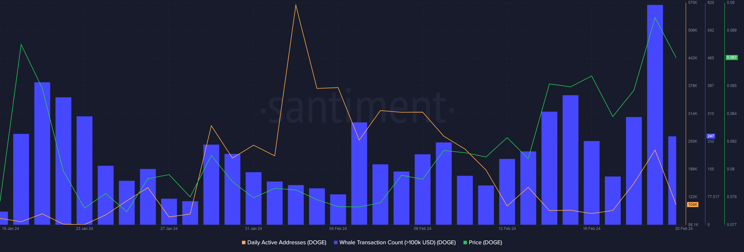 Dogecoin whale interest