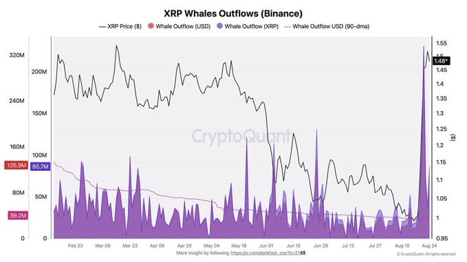 whales