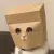 Anonymous Cat