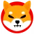 Shiba Inu