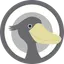 coinImage