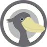 Shoebill Coin