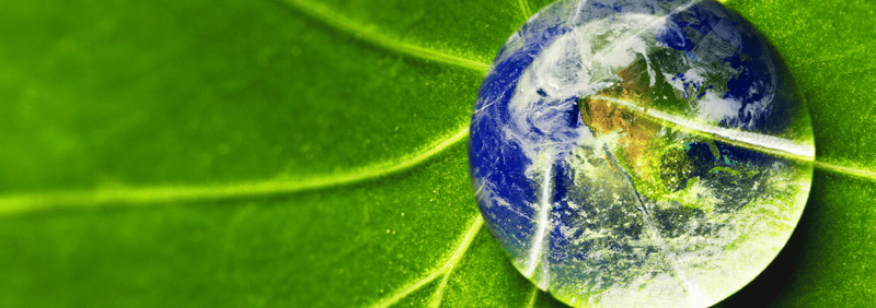 Bitcoin the Environmentalist 1