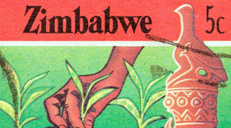 BitMari’s Farmers Accelerator Program Aims to “Decolonize African Agricultural Economies” 1