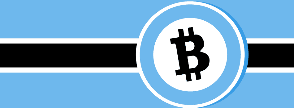 Botswana’s Bitcoin Ambassador 1