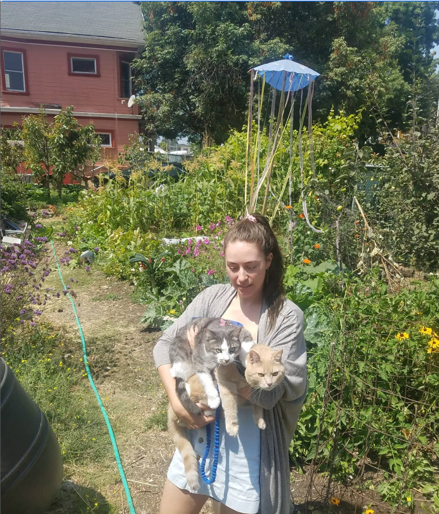 Homesteader Conversations: Urban Farming, Bitcoin And The Future Of Self Sovereignty 1