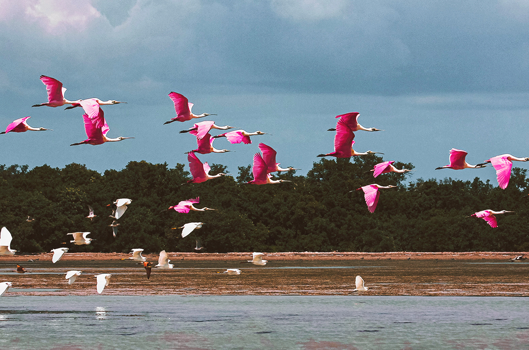 Despite Utility, Bitcoin Cannot Fix Venezuela 1