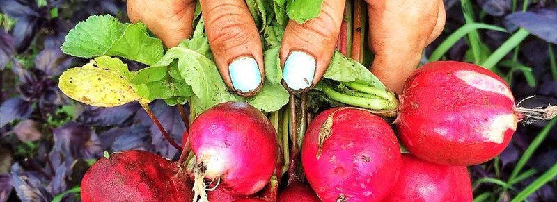 Farm In Michigan Growing Local Bitcoin Economy 1