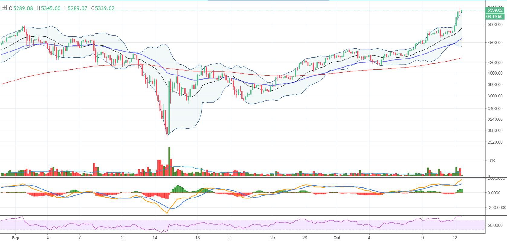Bitcoin Price Analysis: Bitcoin Rally Shows Strength for Continued Growth 2