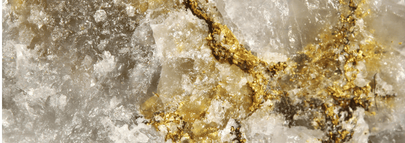 First Bitcoin Exchange to Accept Gold 1