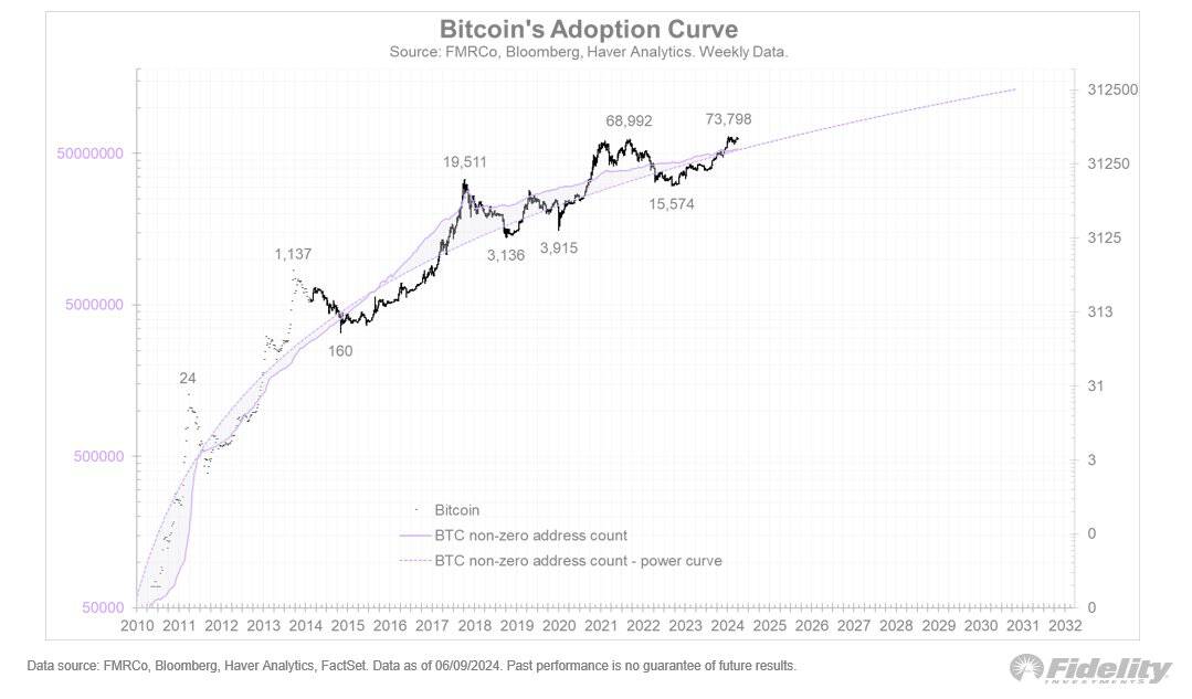 'Bitcoin is Exponential Gold', Says Fidelity’s Director of Global Macro 2
