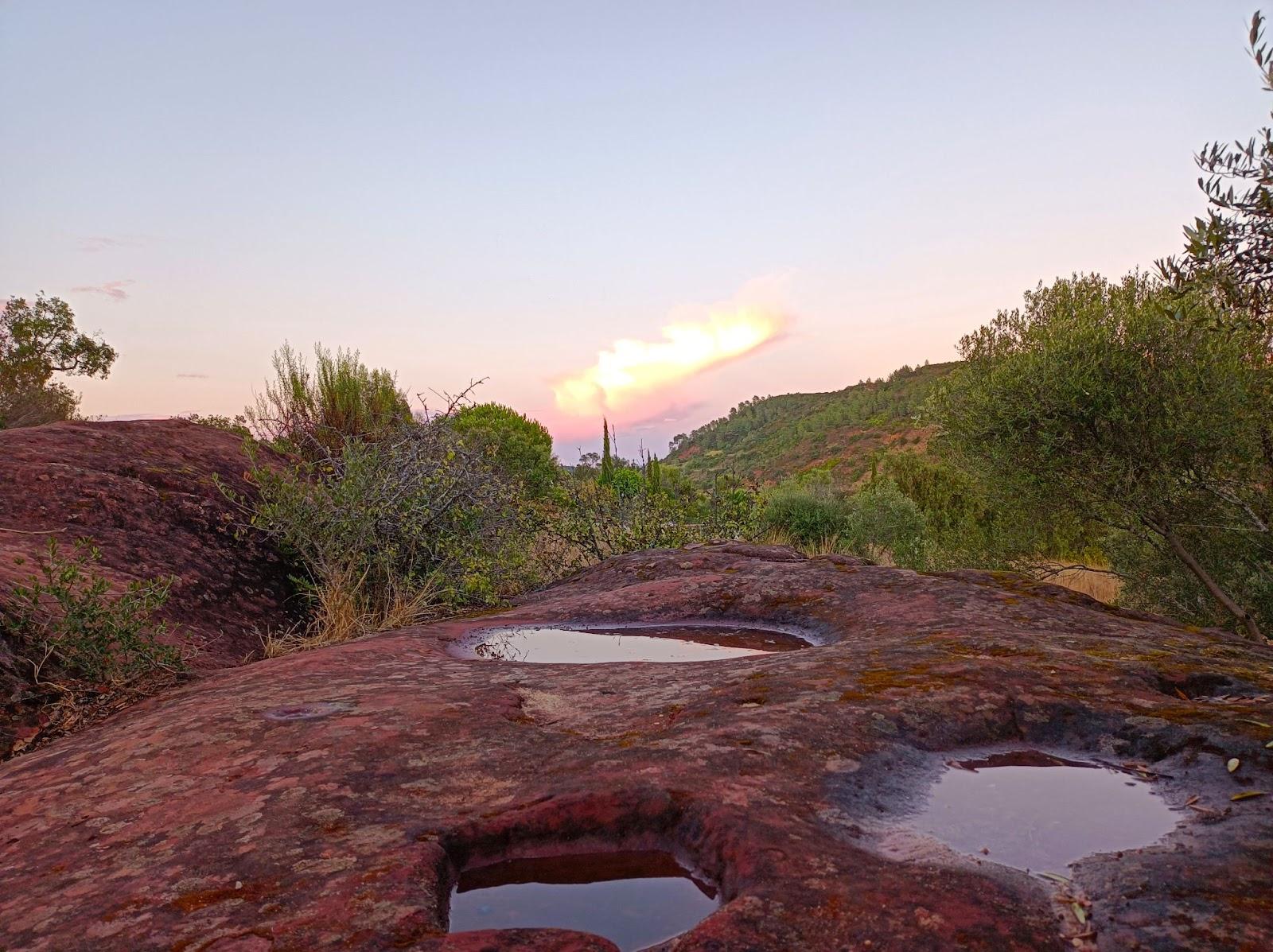 Homesteader Conversations: Feeding Your Family And Building A Bitcoin Community In Southern Portugal 1