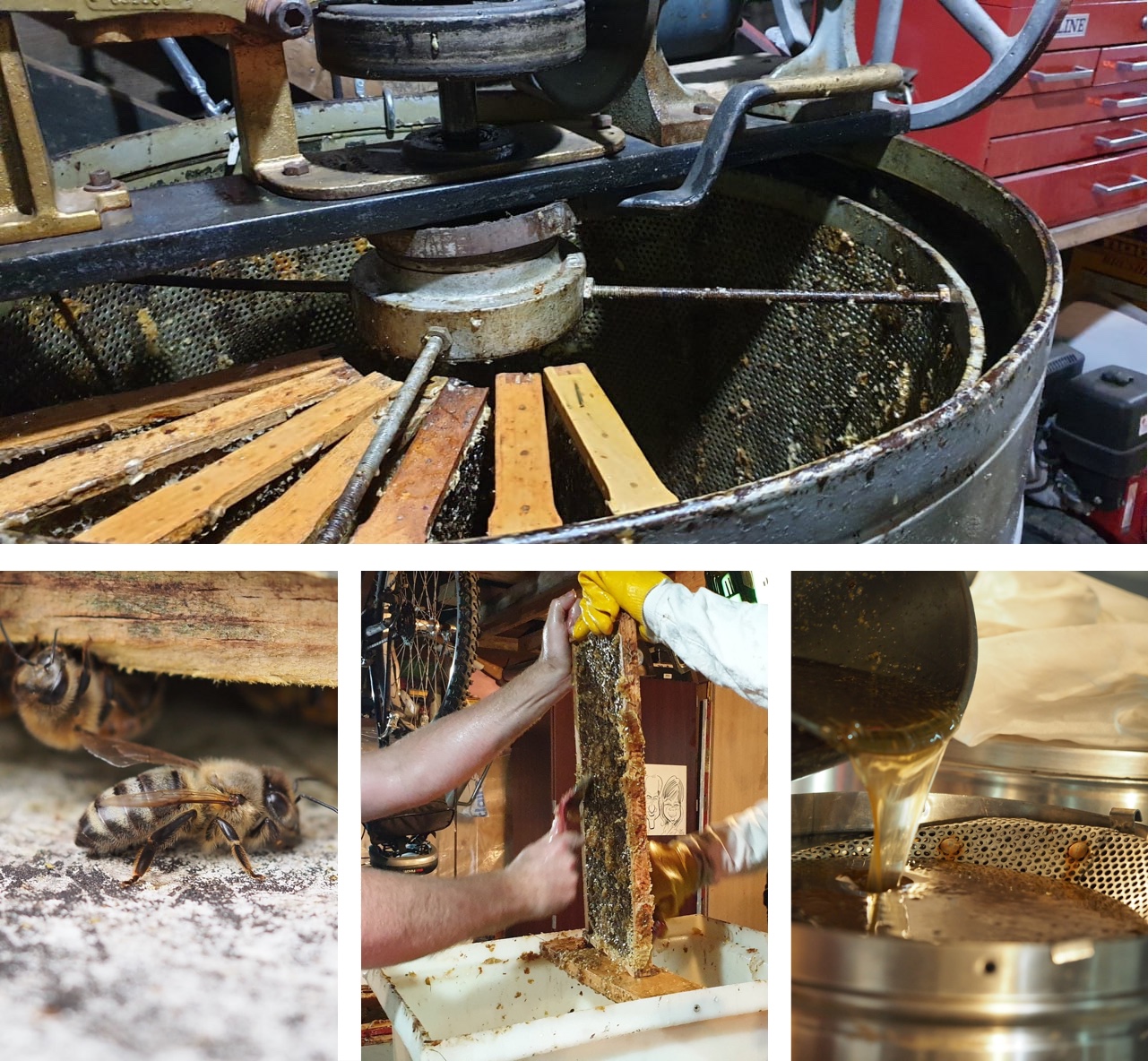 Homesteader Conversations: Midwestern Farmers On Why Bitcoiners Understand Natural Balance 6