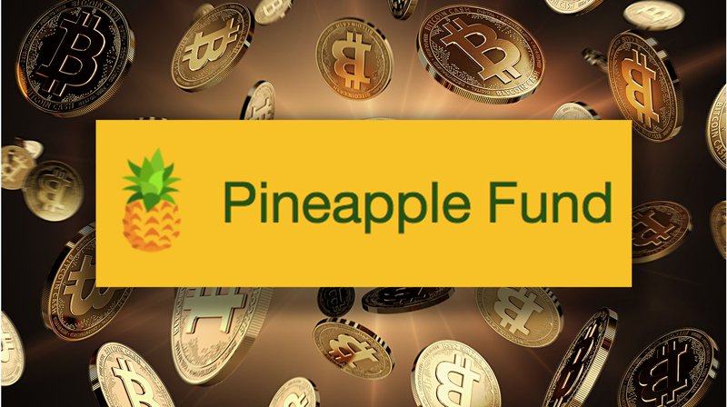 Meet "Pine," the Bitcoin Philanthropist Who Set Up the $85 Million Pineapple Fund 1