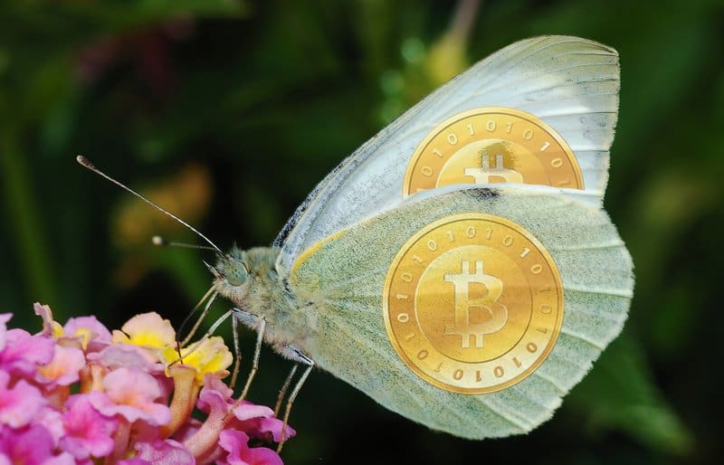 Month In Review: May 1