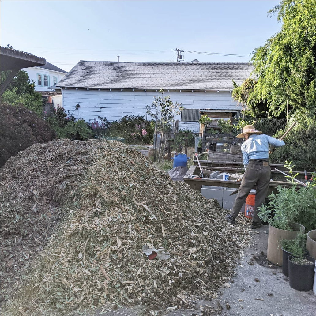 Homesteader Conversations: Urban Farming, Bitcoin And The Future Of Self Sovereignty 2