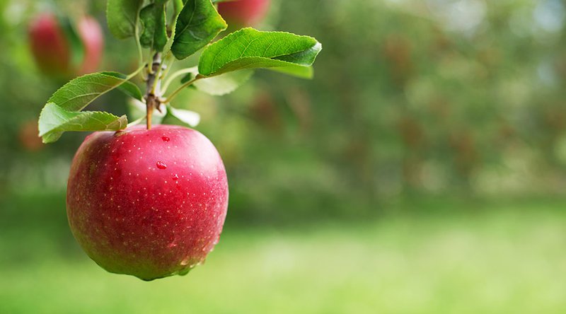 Op Ed: Cryptocurrency’s Unrealized Opportunities for U.S. Tax Professionals 1