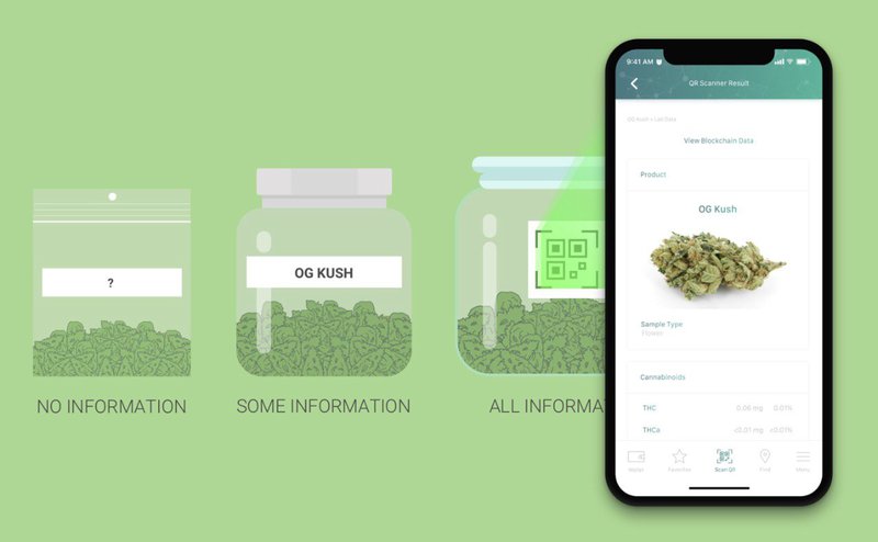 Paragon Partners With Civic Technologies to Deliver Transparency, Digital IDs to Cannabis Industry 1