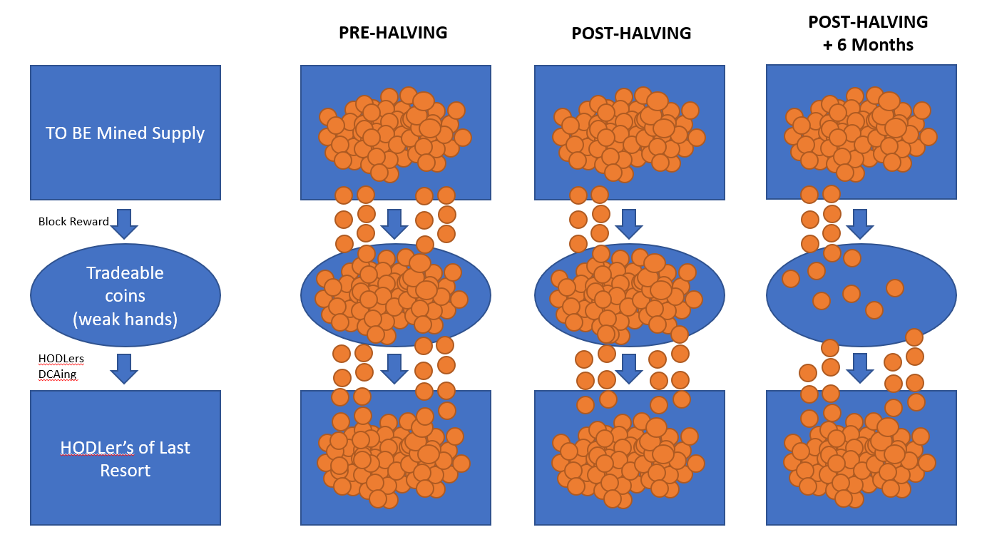 How The DCA Army Will Drive A $1 Million Bitcoin Price 3
