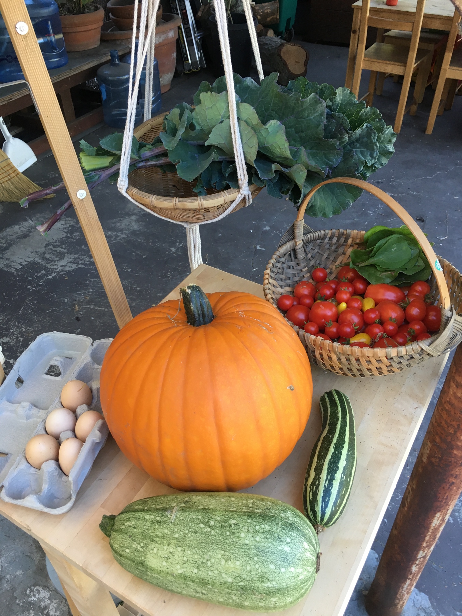 Homesteader Conversations: Urban Farming, Bitcoin And The Future Of Self Sovereignty 8