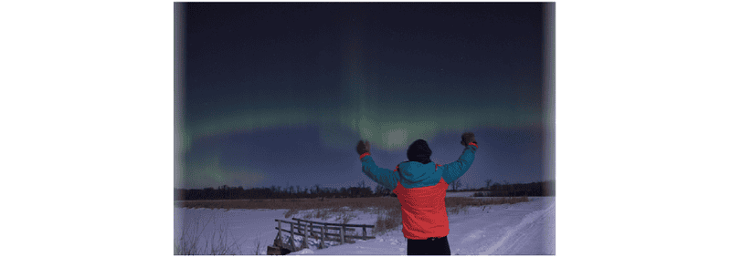 Scrutinizing Auroracoin 1