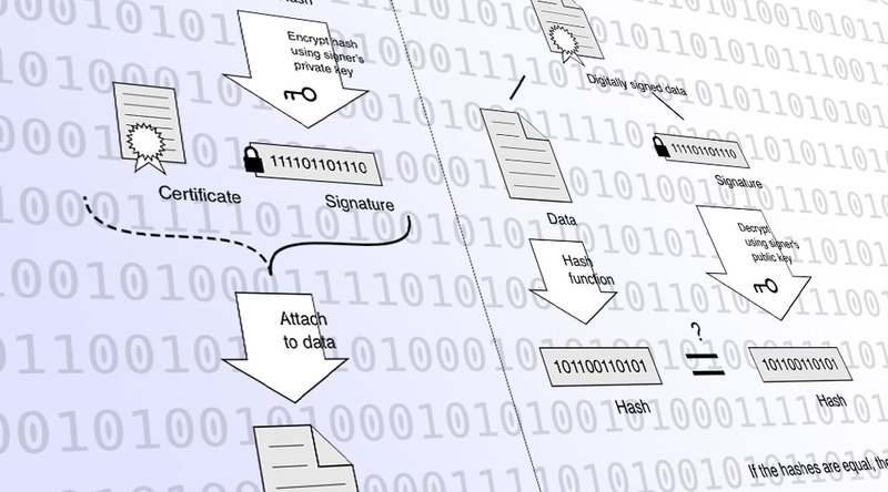 Seven Questions to Make Sense of Craig Wright's Signature Proofs 1