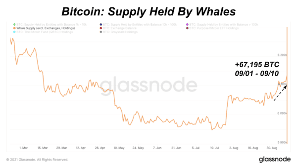 MicroStrategy And Other Whales Continue Bitcoin Accumulation 3