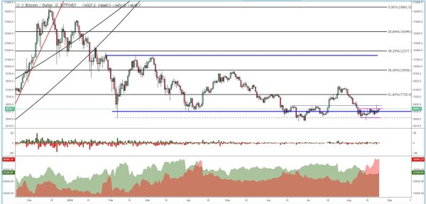 Bitcoin Price Analysis: High Shorts Count Could Signal Price Hike 3