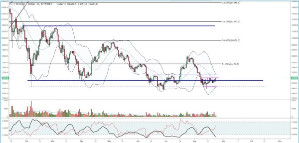 Bitcoin Price Analysis: High Shorts Count Could Signal Price Hike 4