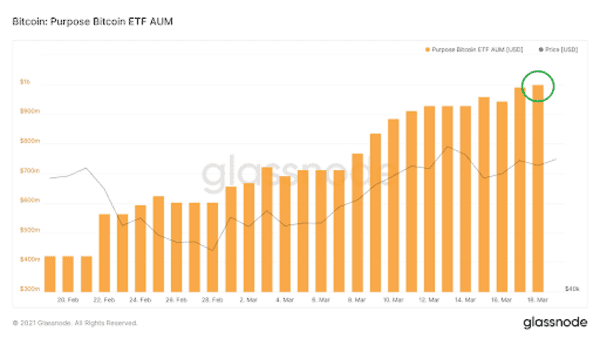 On-Chain Update: Price Drop Causes And Long-Term Metrics 7