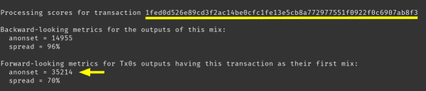 Track Me If You Can — How Bitcoin Forward-Looking Anonymity Sets Work 11