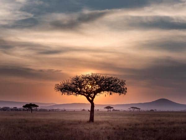 Growing The Bitcoin Development Ecosystem In Africa 1