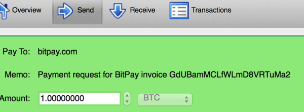 Do You Need Payment Protocol Support? – Now You Can Have It 1