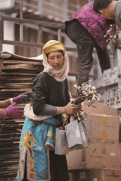 BigCohooNah On Home Bitcoin Mining, Power Agreements And S9 Leasing 2