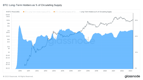 One Year Until The Bitcoin Halving: Analyzing Holder Dynamics 4