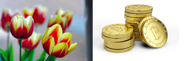 Tulip Mania Vs. Bitcoin 1