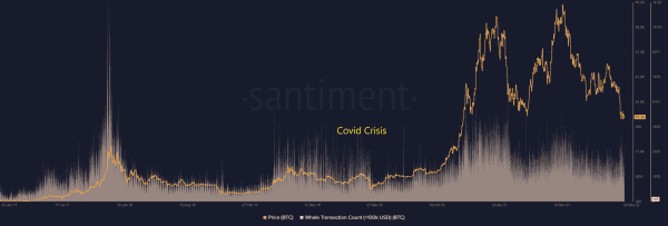 The Effect Of Sentiment On The Bitcoin Price 8