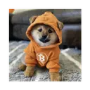 DOG•GO•TO•THE•MOON