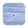 Nietzschean Penguin