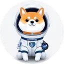 Asteroid Shiba