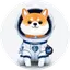 Asteroid Shiba Logo