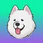Samoyedcoin