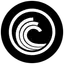 BitTorrent Logo
