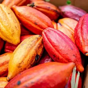 CoinDesk article image