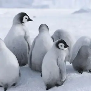 CoinDesk article image