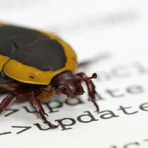 AI found an Ethereum bug that could take validators offline, but humans had to prove it
