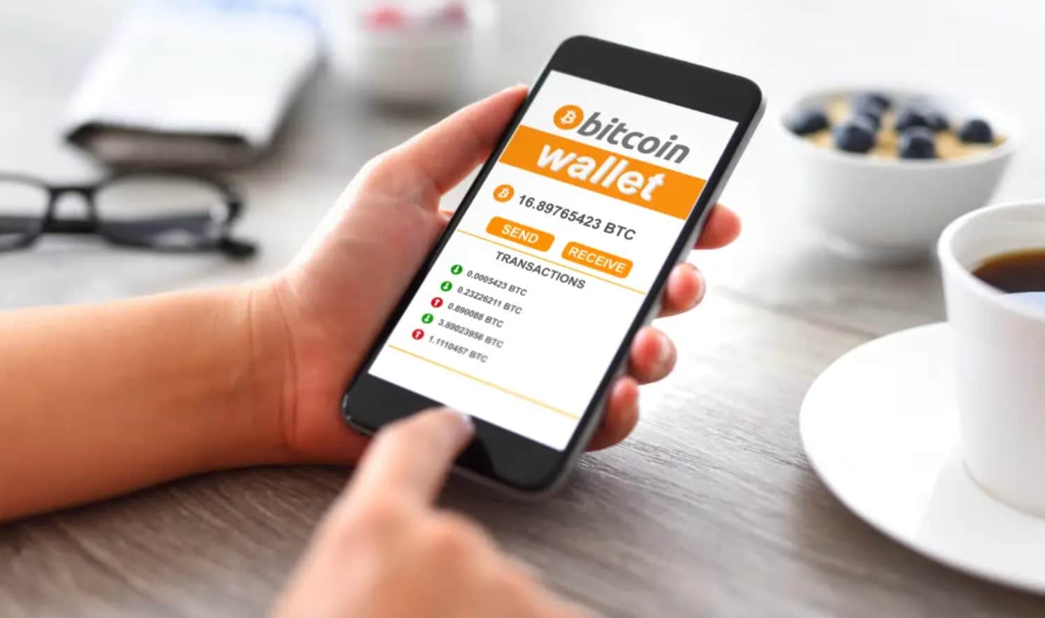 Storing Bitcoin in a wallet 