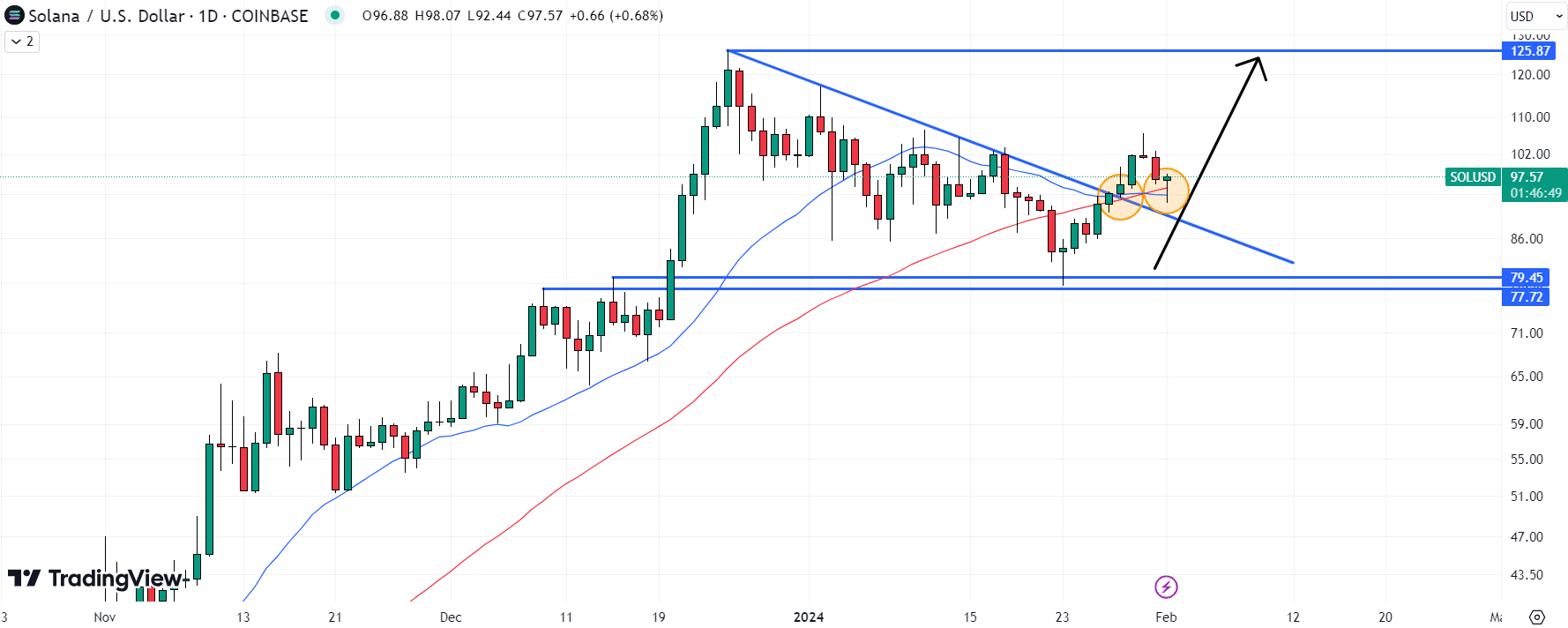 Solana (SOL) Price Chart / Source: TradingView