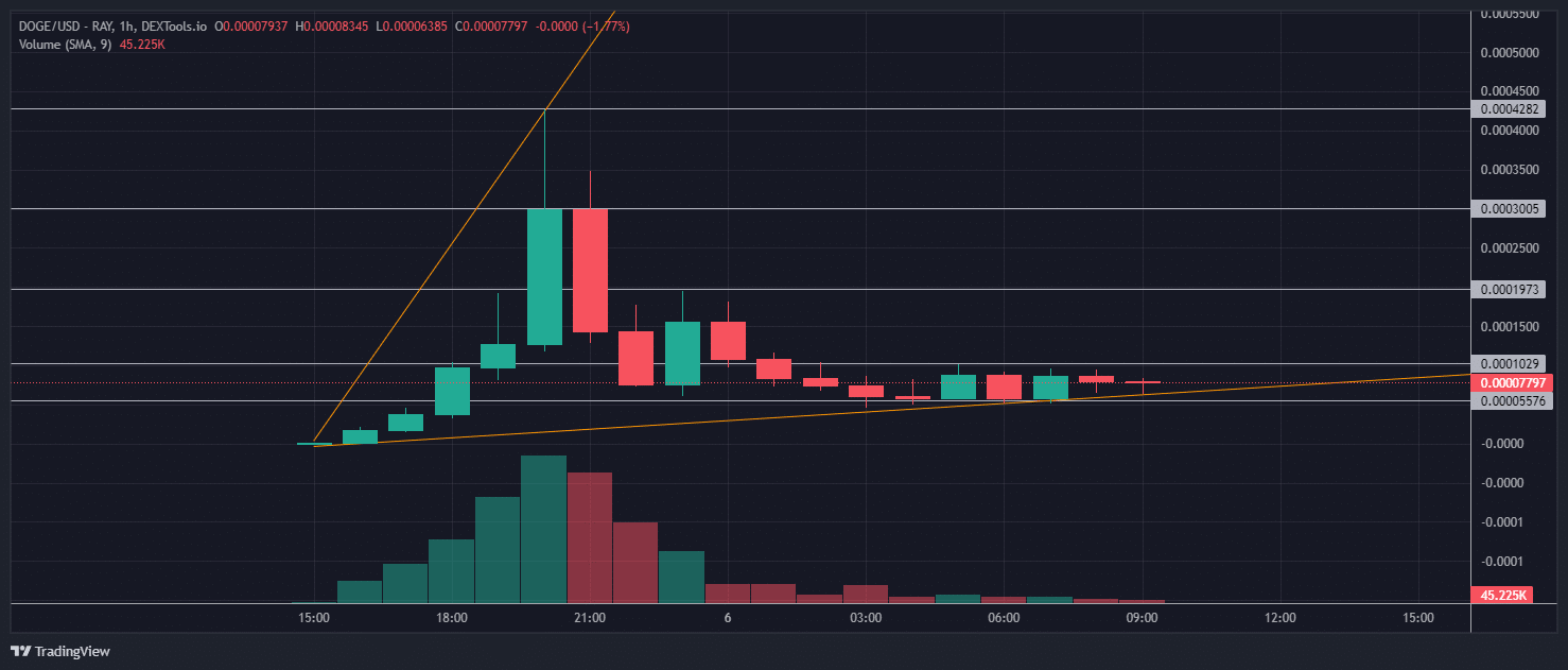 DOGE Price Analysis: New Solana memecoin, Doge Solana, has exploded +200,000% in overnight price move - but could this other coin be next?