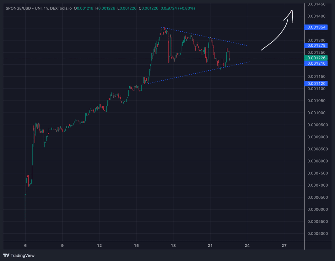 المخطط البيانيّ لسعر عملة SPONGE
